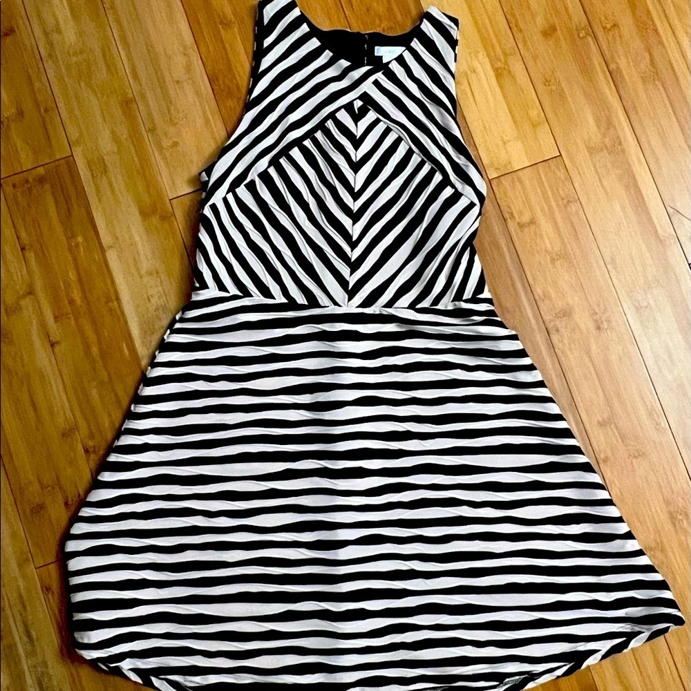 Black and Off White Skater Dress